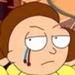 3vilMorty